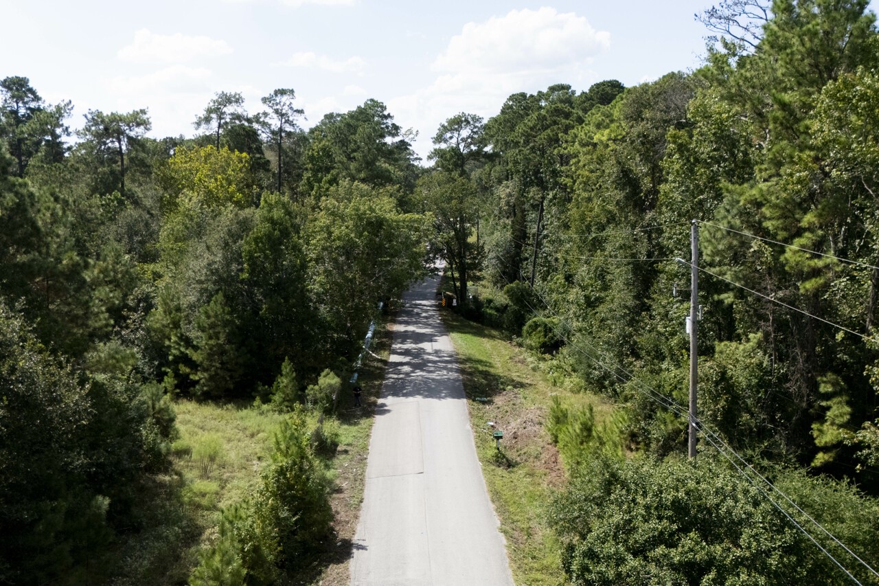 1135 Magnolia Point Drive Huffman, TX 77336 - Photo 5 of 8 a view of a pathway both side of yard