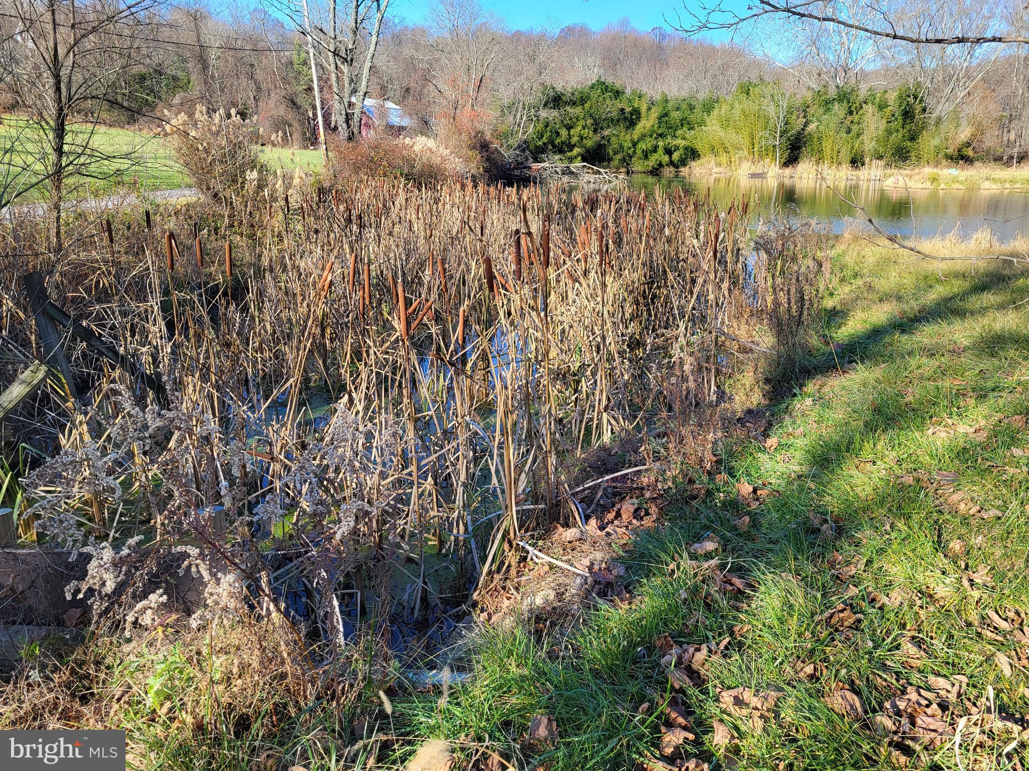 800 Ridge Road Westminster, MD 21157 - Photo 4 of 23