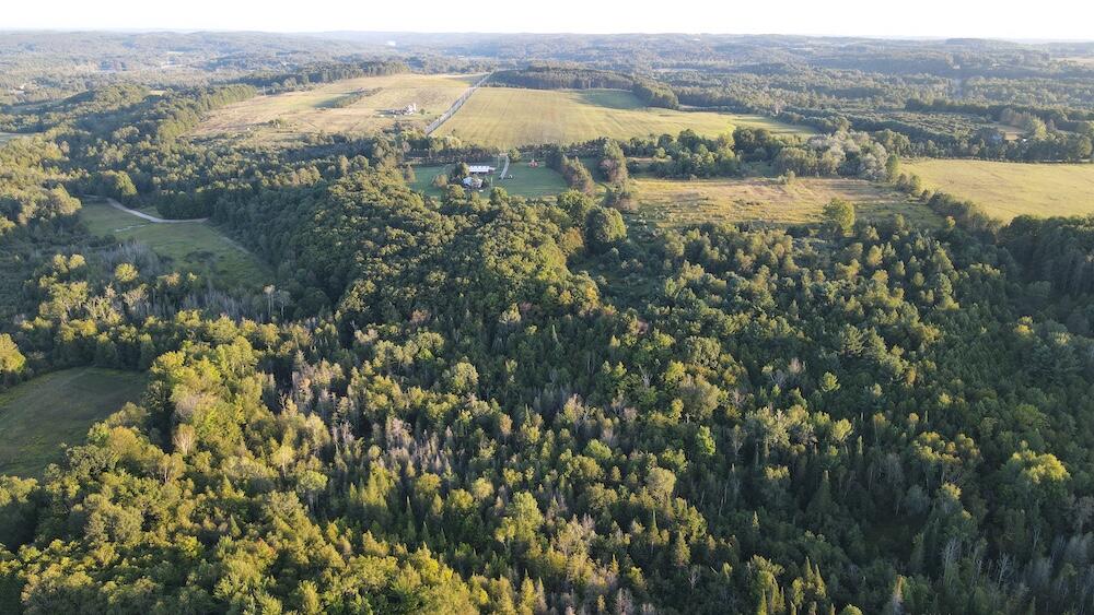 8530 Toad Lake Road Ellsworth, MI 49729 - Photo 58 of 93 DJI_0018