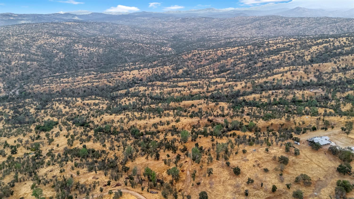 37749 Misty Ridge Road Raymond, CA 93653 - Photo 6 of 23 a view of a dry yard