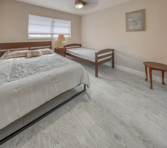 a view of a pathway with a plants