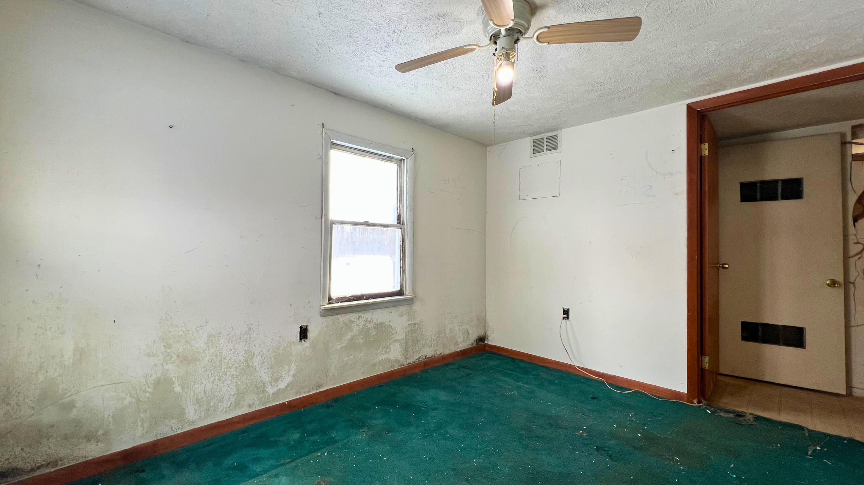 1401 Miner Road Crystal, MI 48818 - Photo 25 of 54 bed 1 3