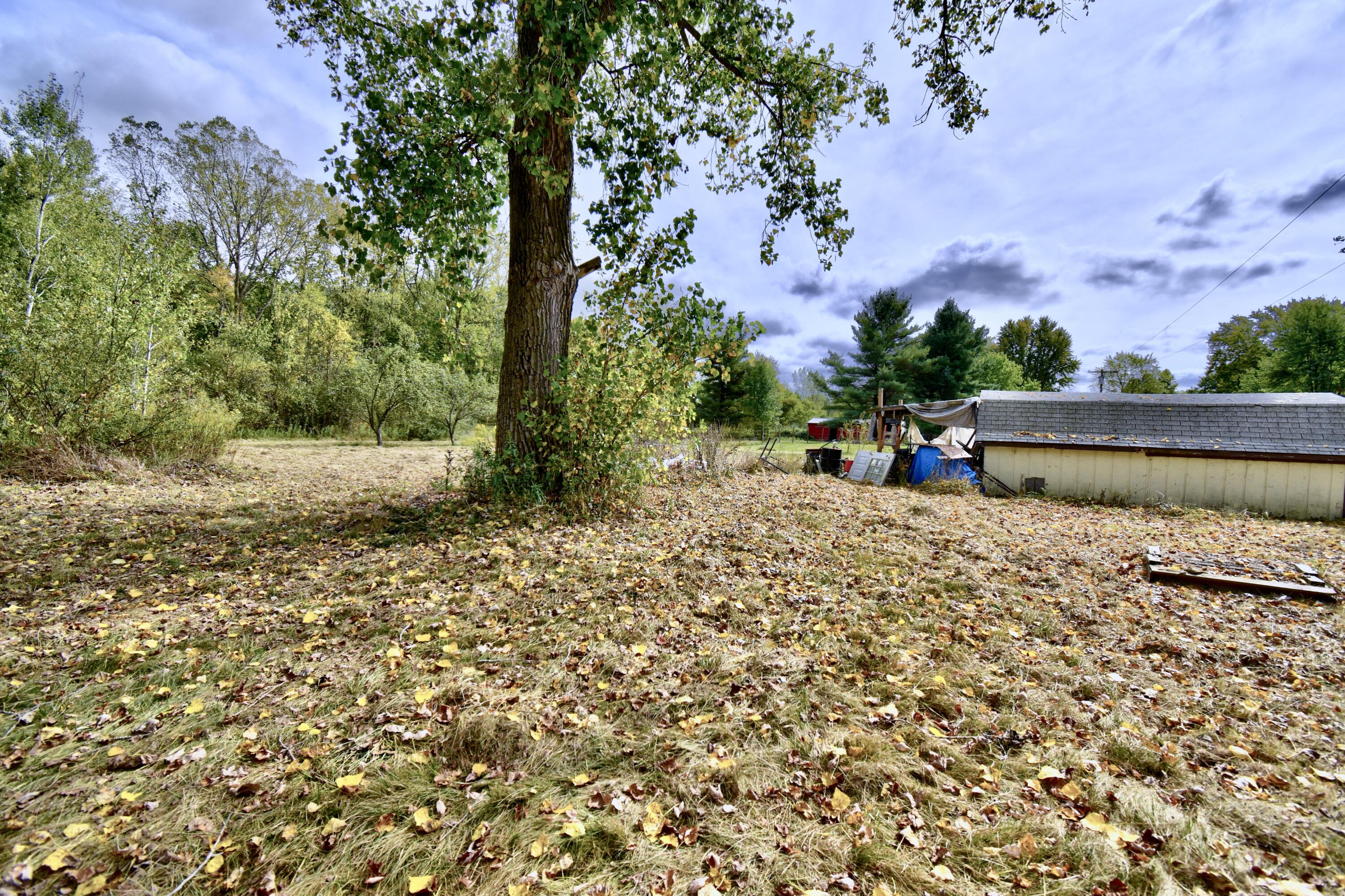 1401 Miner Road Crystal, MI 48818 - Photo 47 of 54 DSC_9614_5_6