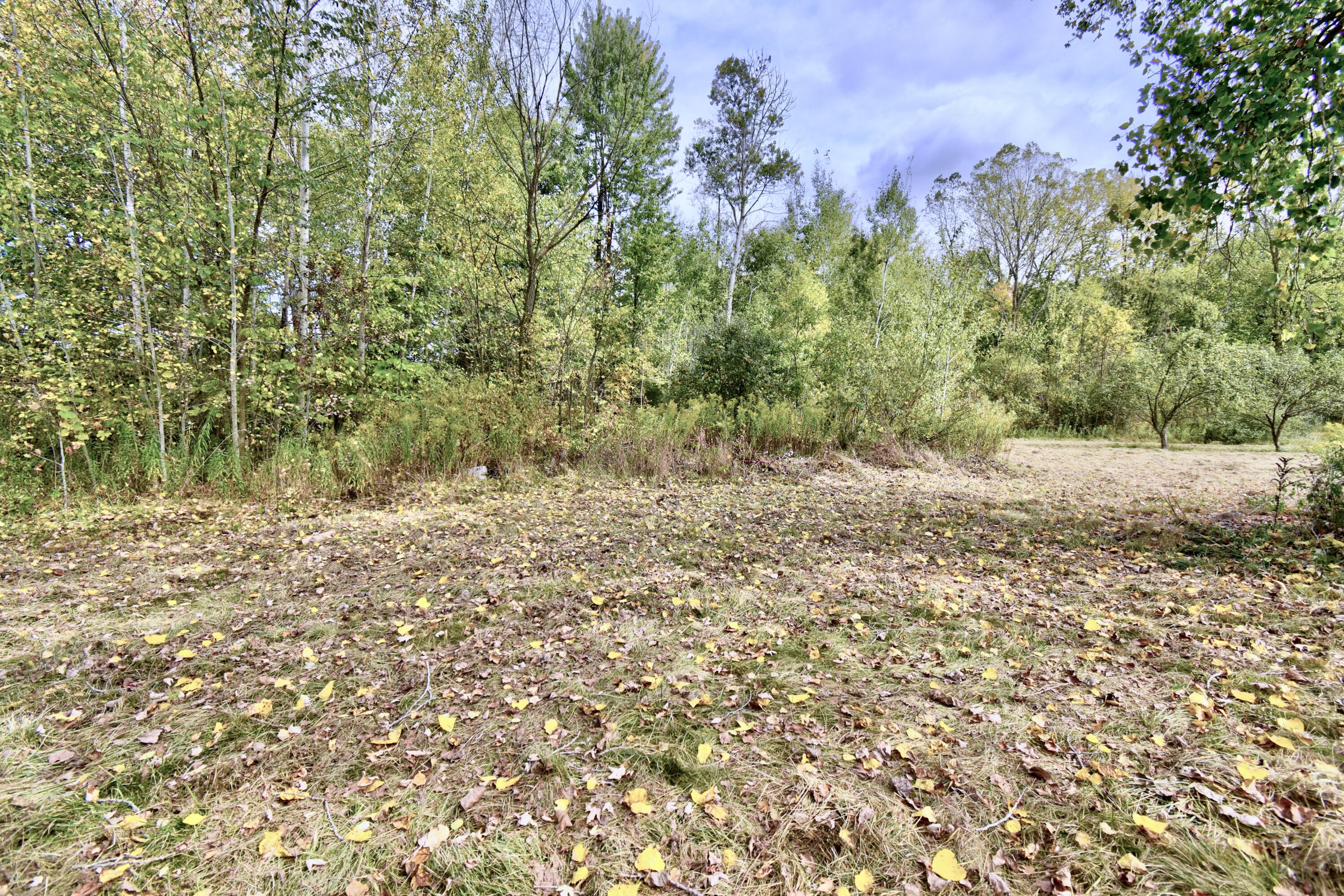 1401 Miner Road Crystal, MI 48818 - Photo 48 of 54 DSC_9617_8_9