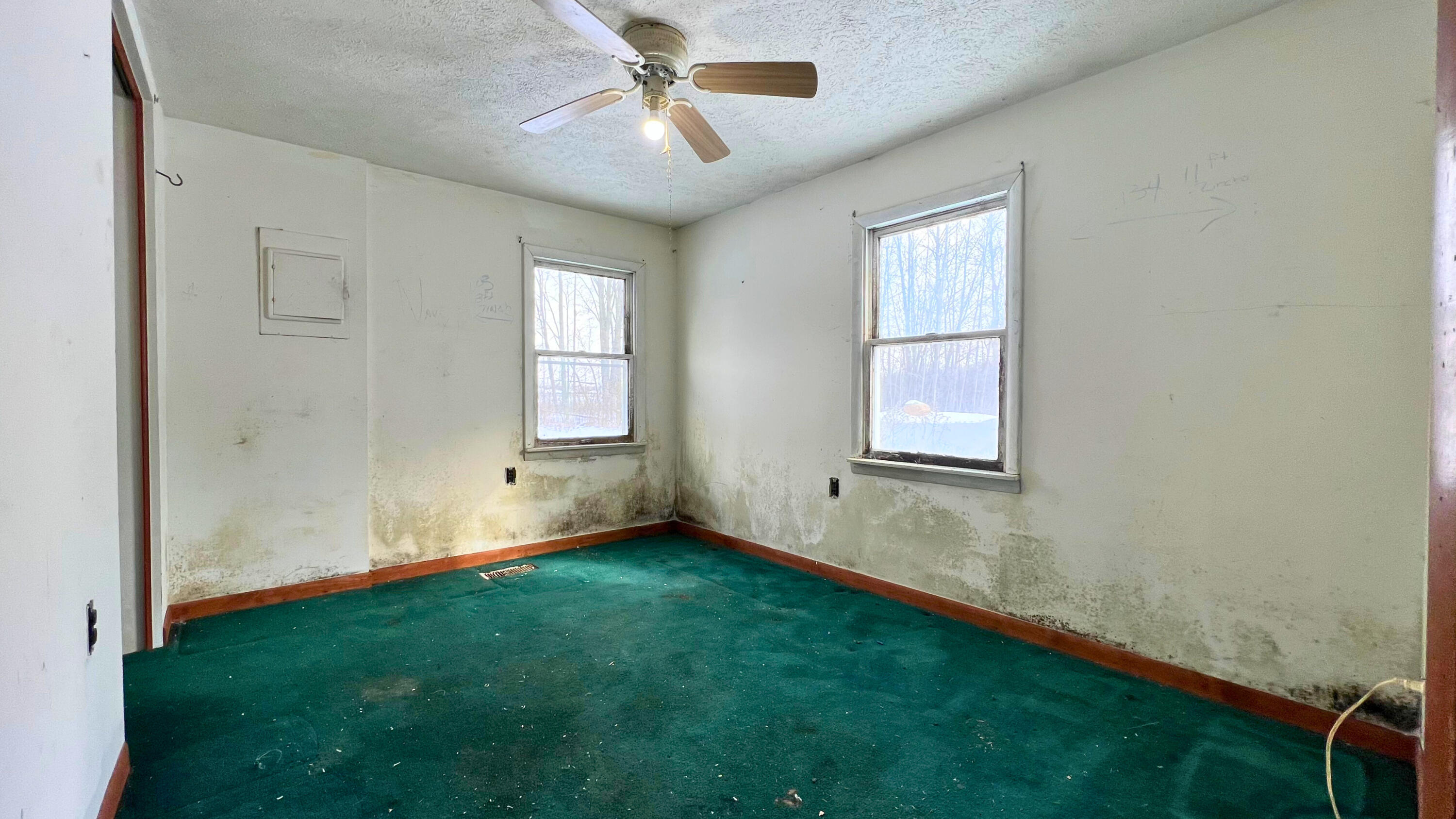 1401 Miner Road Crystal, MI 48818 - Photo 5 of 54 bed 1 4