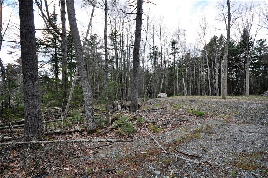 Lot7 Beechland Road Ellsworth, ME 04605 - Photo 6 of 7 Photo