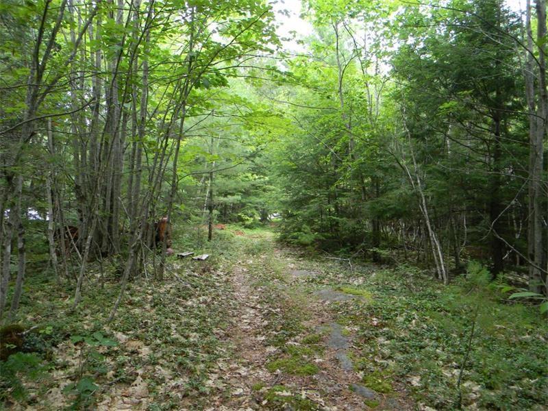 0 Hale Pond Road Wiscasset, ME 04578 - Photo 1 of 6 Photo