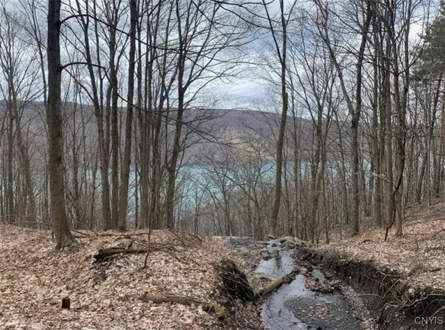 $599,900 | -off Morris Run Off Morris Run, Homer, NY 13077