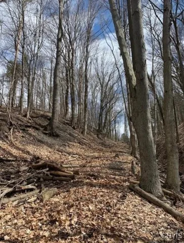 $599,900 | -off Morris Run Off Morris Run, Homer, NY 13077