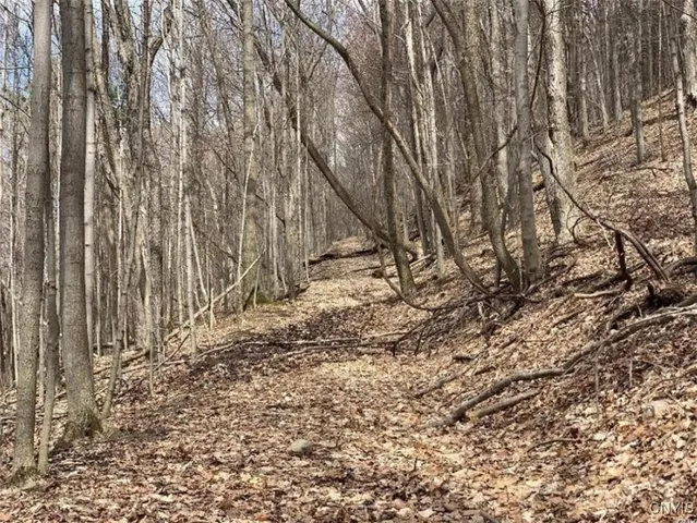 $599,900 | -off Morris Run Off Morris Run, Homer, NY 13077