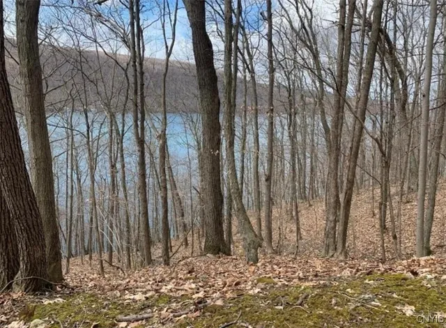 $599,900 | -off Morris Run Off Morris Run, Homer, NY 13077