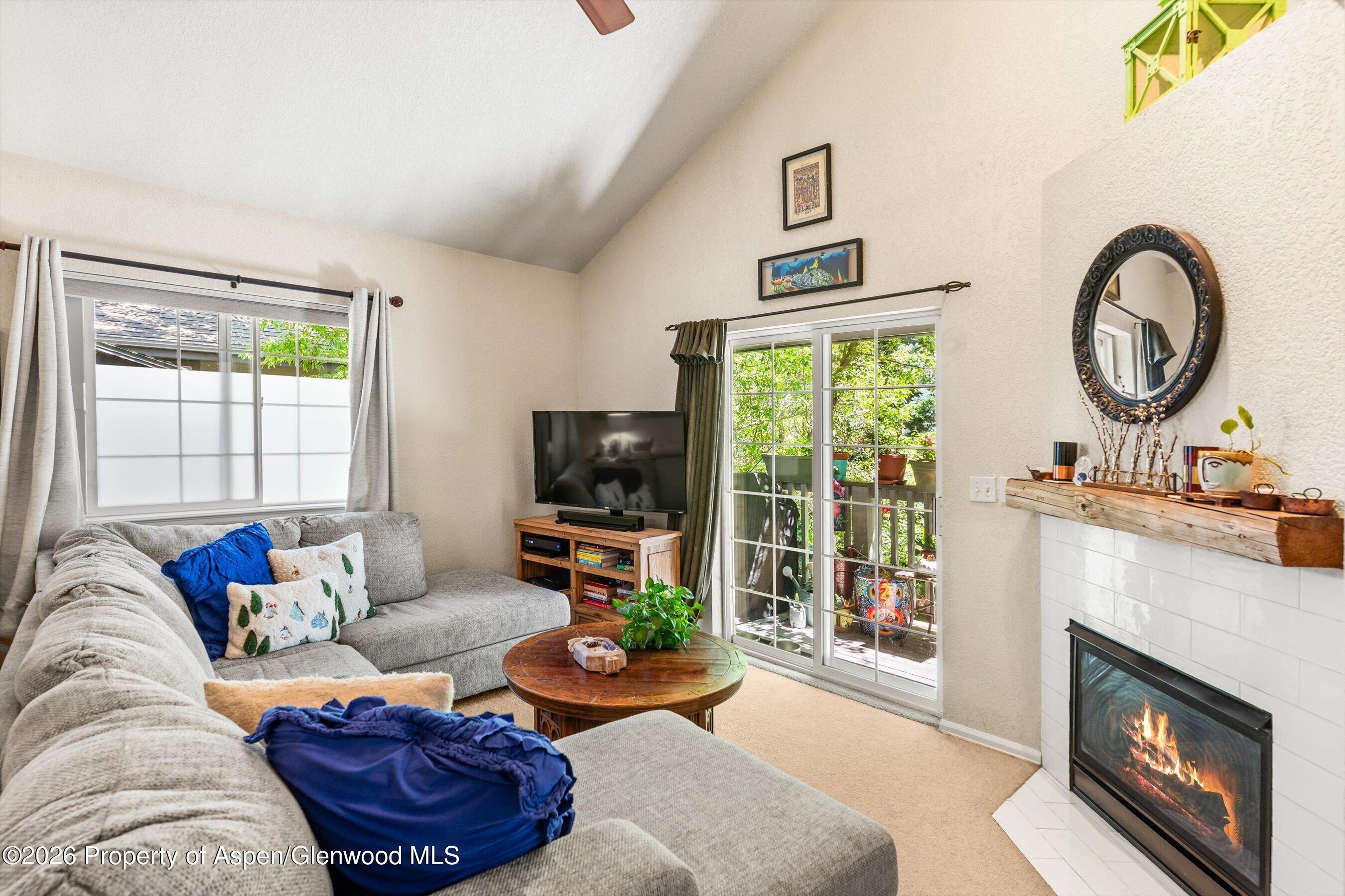 5203 Elk Lane Basalt, CO 81621 - Photo 2 of 26 14-5203ElkLn_26061714
