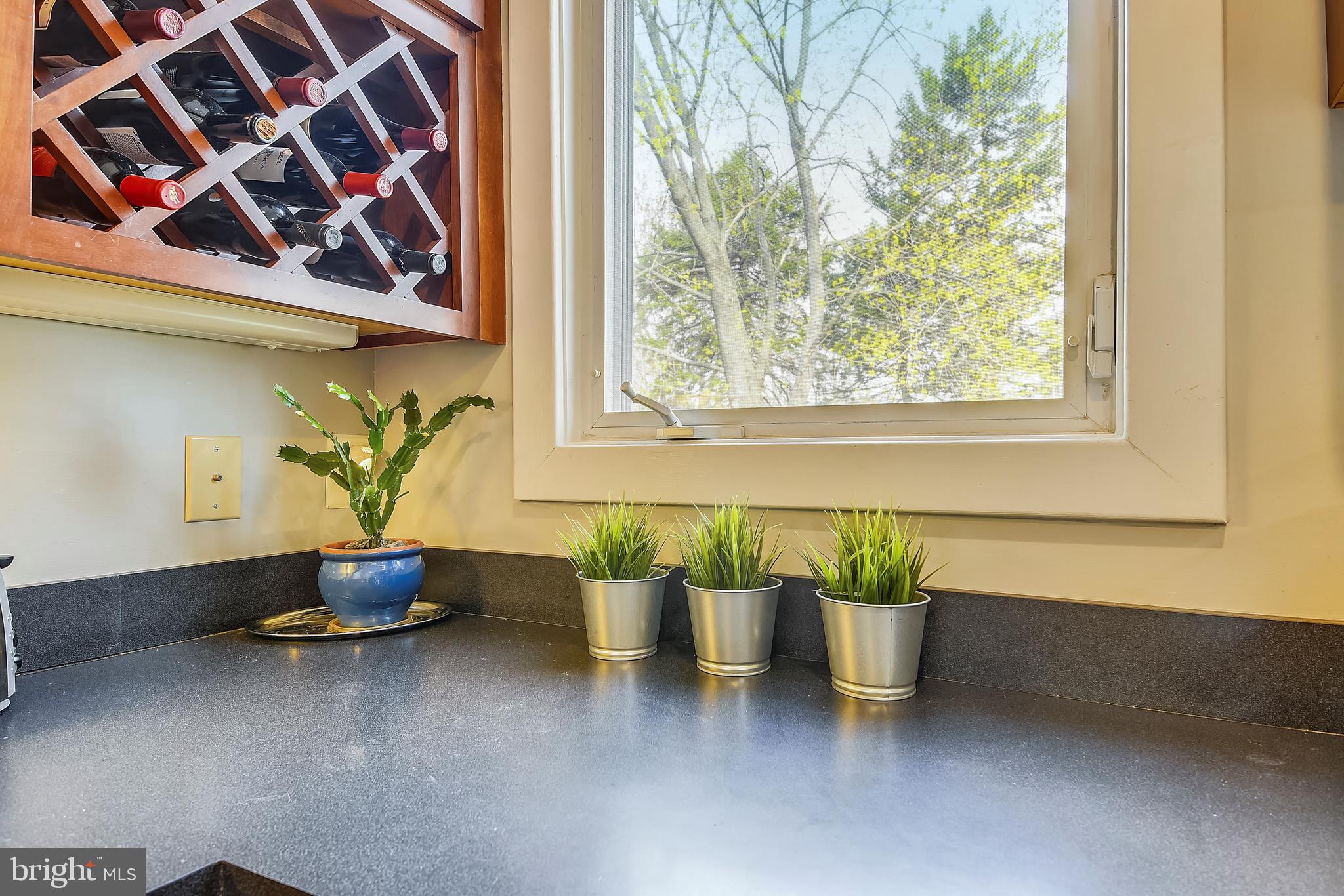 5616 Mountville Road Adamstown, MD 21710 - Photo 6 of 62 Built in wine rack and neutral counters