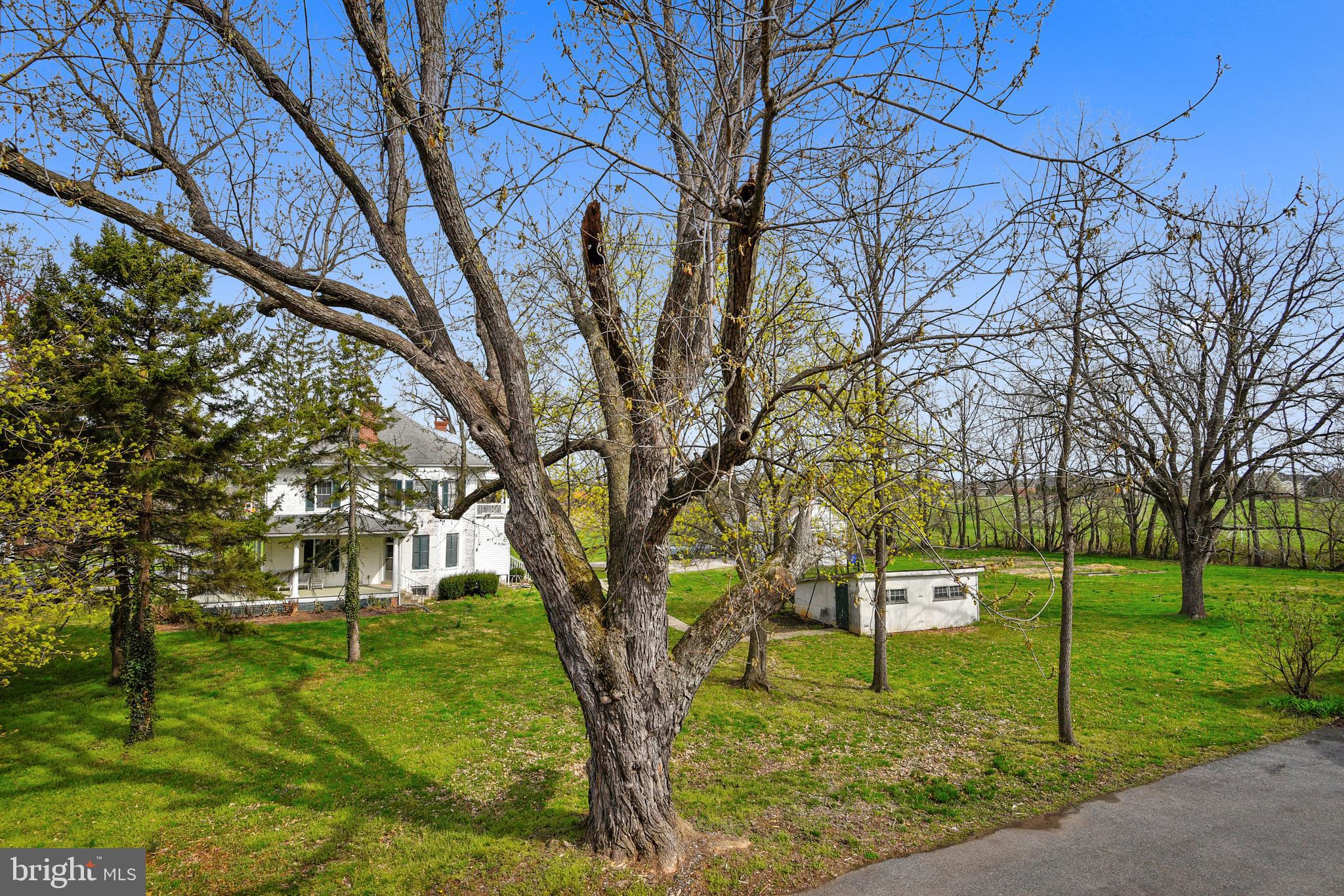 5616 Mountville Road Adamstown, MD 21710 - Photo 52 of 62 One+ Acre level landscaped Yard