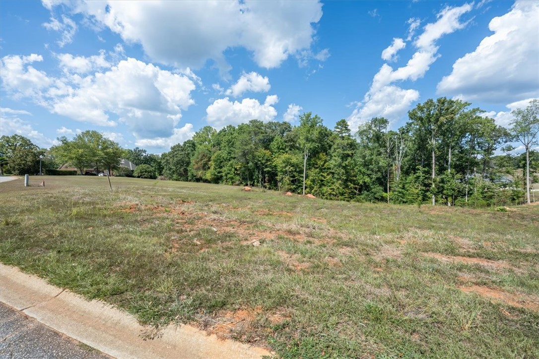 106 C-4-112A Anderson, SC 29625 - Photo 1 of 20 This spacious lot offers ample room for your dream home, nestled amidst a tranquil, wooded setting.