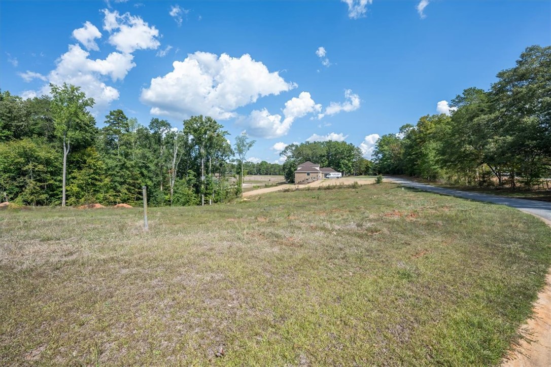 106 C-4-112A Anderson, SC 29625 - Photo 2 of 20 A spacious lot offers a promising canvas for building a home amidst lush greenery.