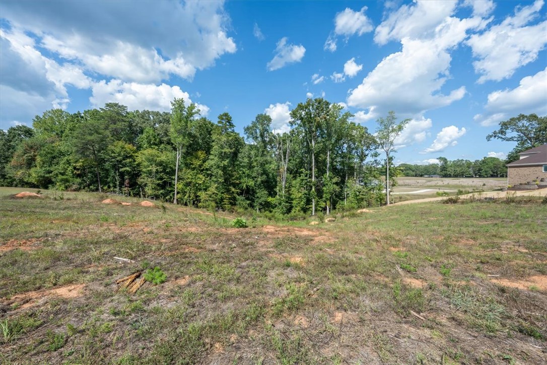 106 C-4-112A Anderson, SC 29625 - Photo 4 of 20 This spacious lot offers ample opportunity for building a custom home amidst natural surroundings.