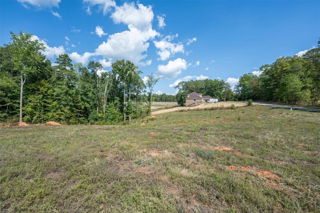 106 C-4-112A Anderson, SC 29625 - Photo 5 of 20 A spacious lot featuring a house nestled among lush trees under a bright blue sky.