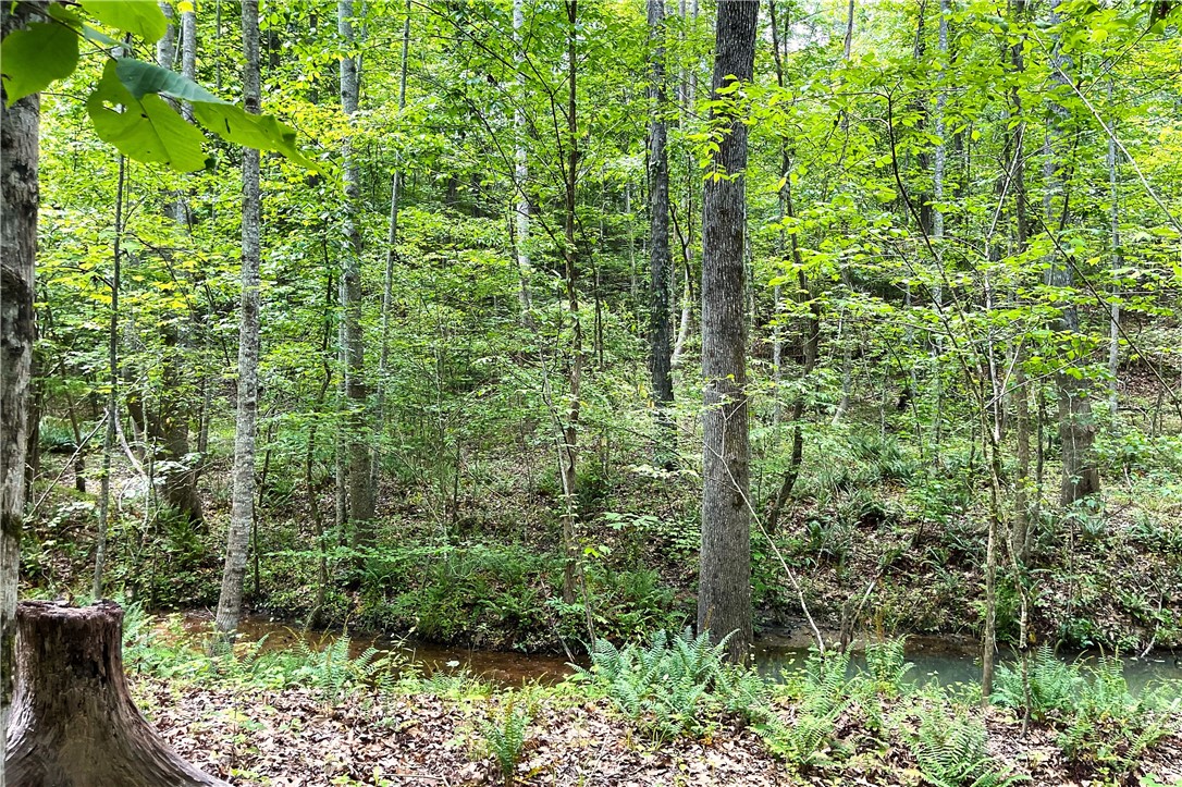 318 Smiths Village Road Waterloo, SC 29384 - Photo 11 of 23