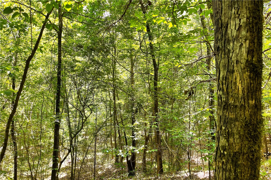 318 Smiths Village Road Waterloo, SC 29384 - Photo 12 of 23