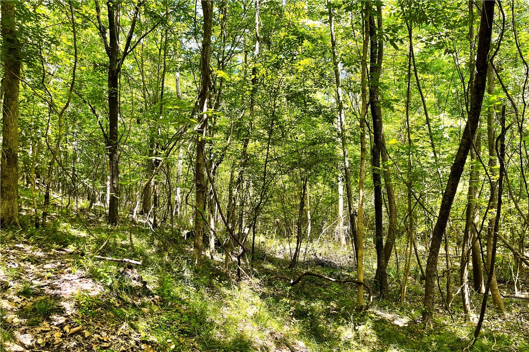 318 Smiths Village Road Waterloo, SC 29384 - Photo 13 of 23