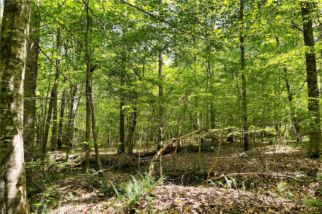 318 Smiths Village Road Waterloo, SC 29384 - Photo 15 of 23