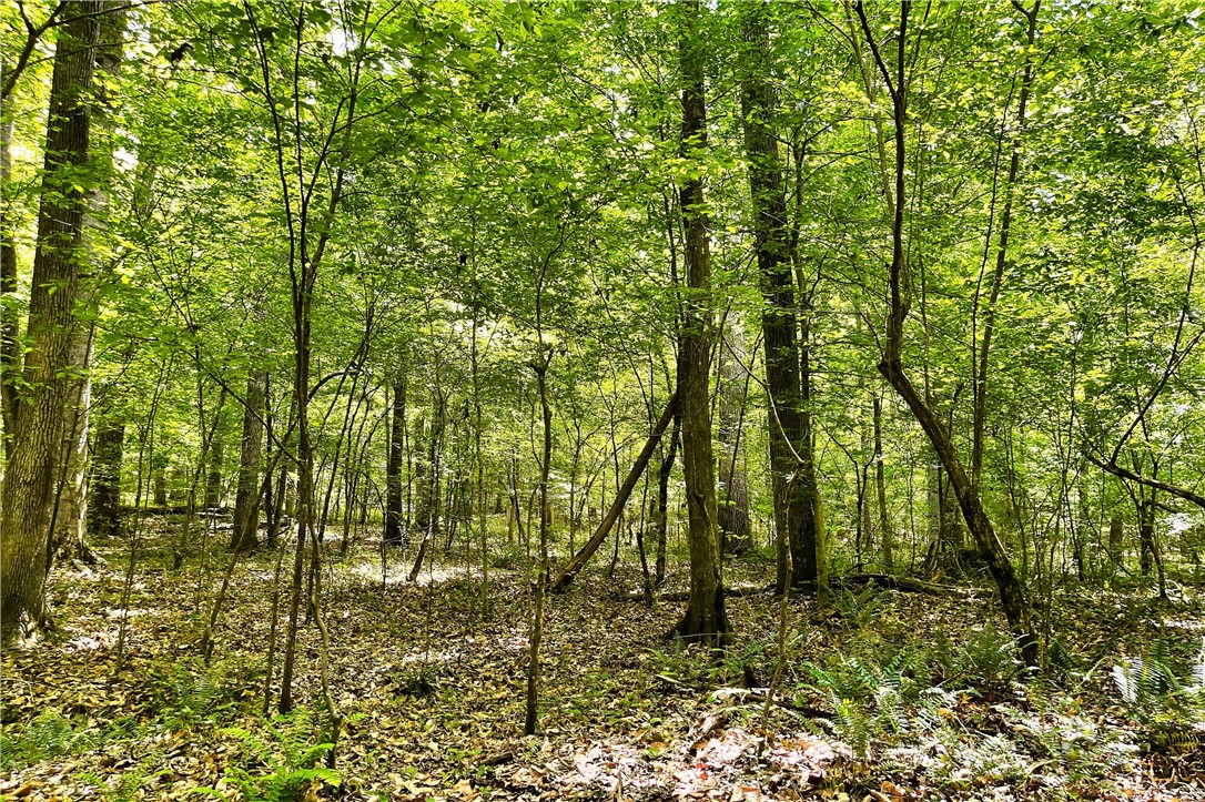 318 Smiths Village Road Waterloo, SC 29384 - Photo 16 of 23