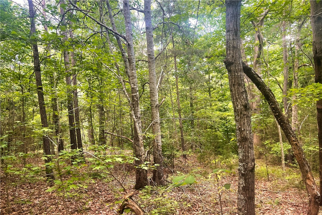 318 Smiths Village Road Waterloo, SC 29384 - Photo 17 of 23