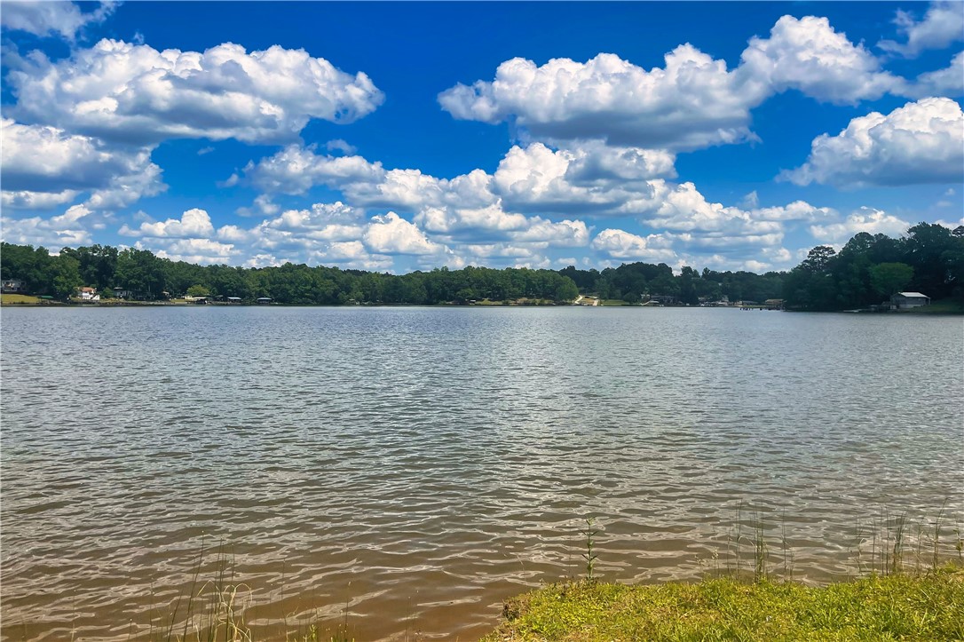 318 Smiths Village Road Waterloo, SC 29384 - Photo 19 of 23