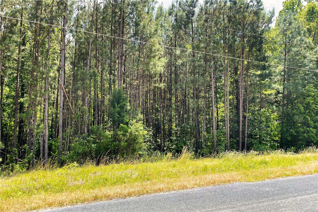 318 Smiths Village Road Waterloo, SC 29384 - Photo 2 of 23