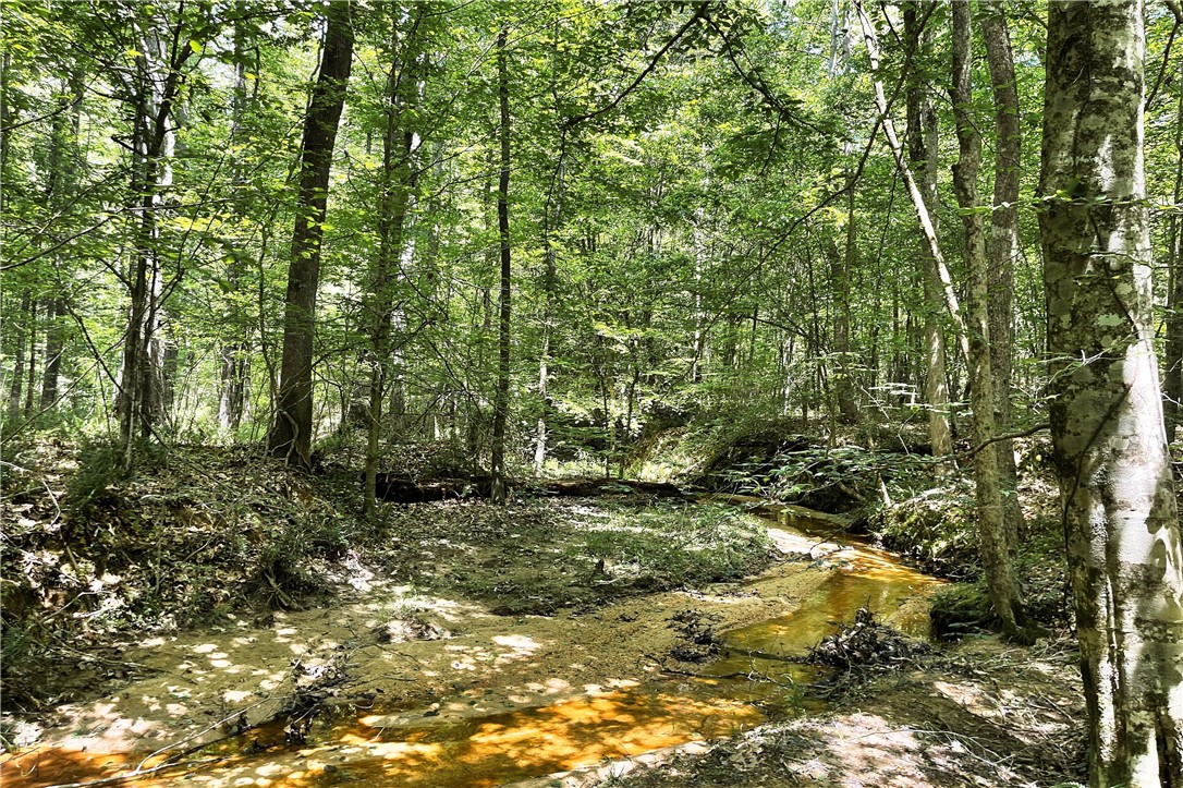 318 Smiths Village Road Waterloo, SC 29384 - Photo 3 of 23