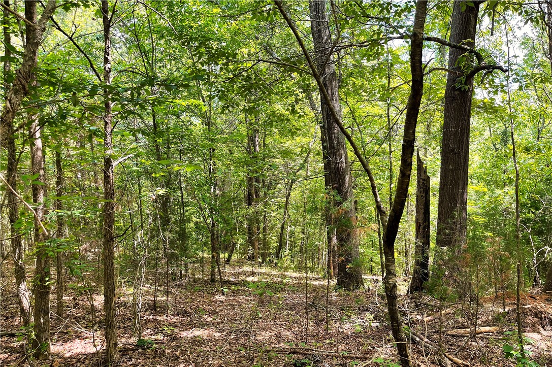 318 Smiths Village Road Waterloo, SC 29384 - Photo 4 of 23