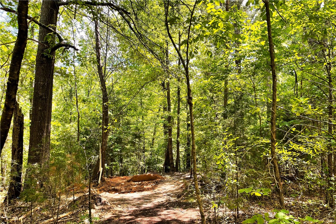 318 Smiths Village Road Waterloo, SC 29384 - Photo 5 of 23