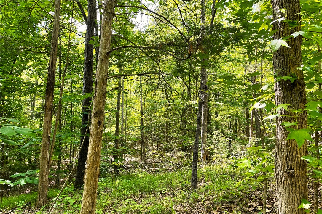 318 Smiths Village Road Waterloo, SC 29384 - Photo 6 of 23