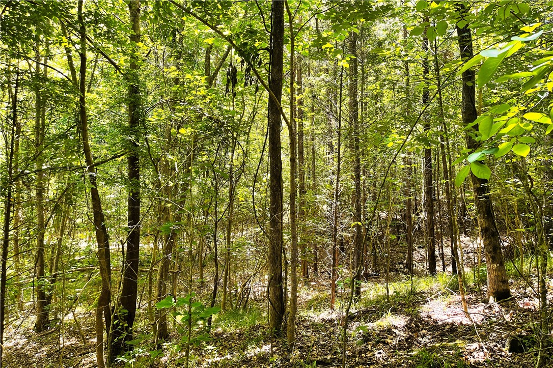 318 Smiths Village Road Waterloo, SC 29384 - Photo 7 of 23