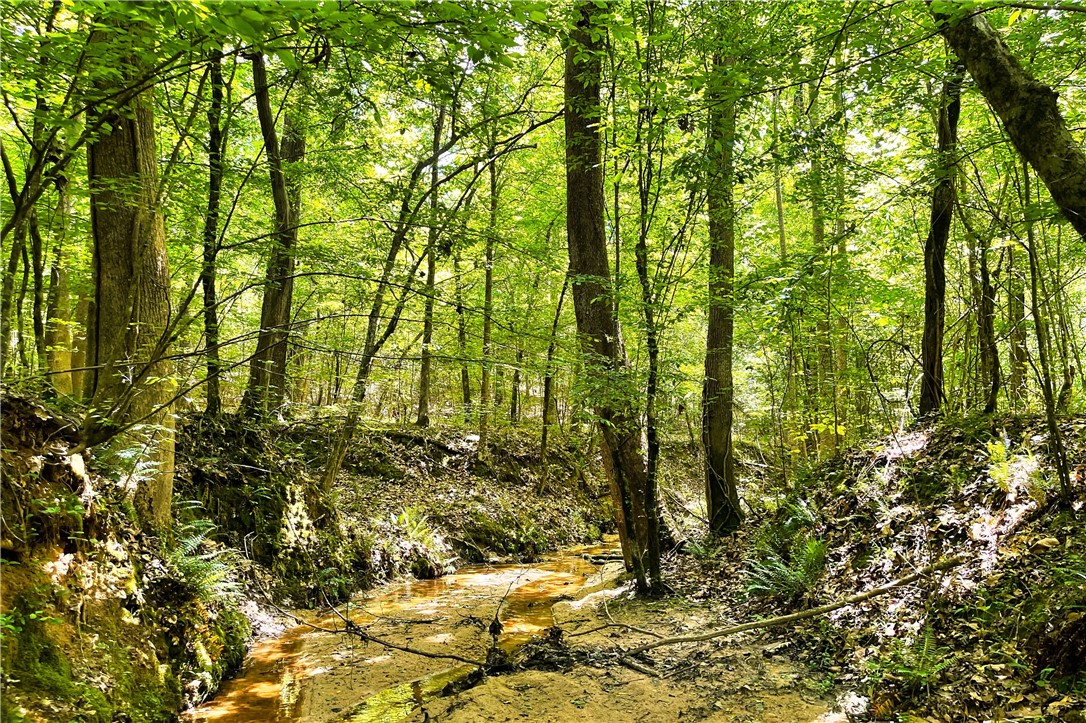 318 Smiths Village Road Waterloo, SC 29384 - Photo 8 of 23