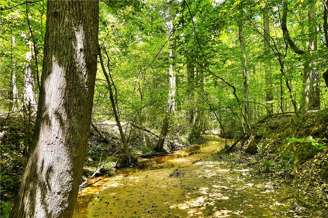 318 Smiths Village Road Waterloo, SC 29384 - Photo 9 of 23