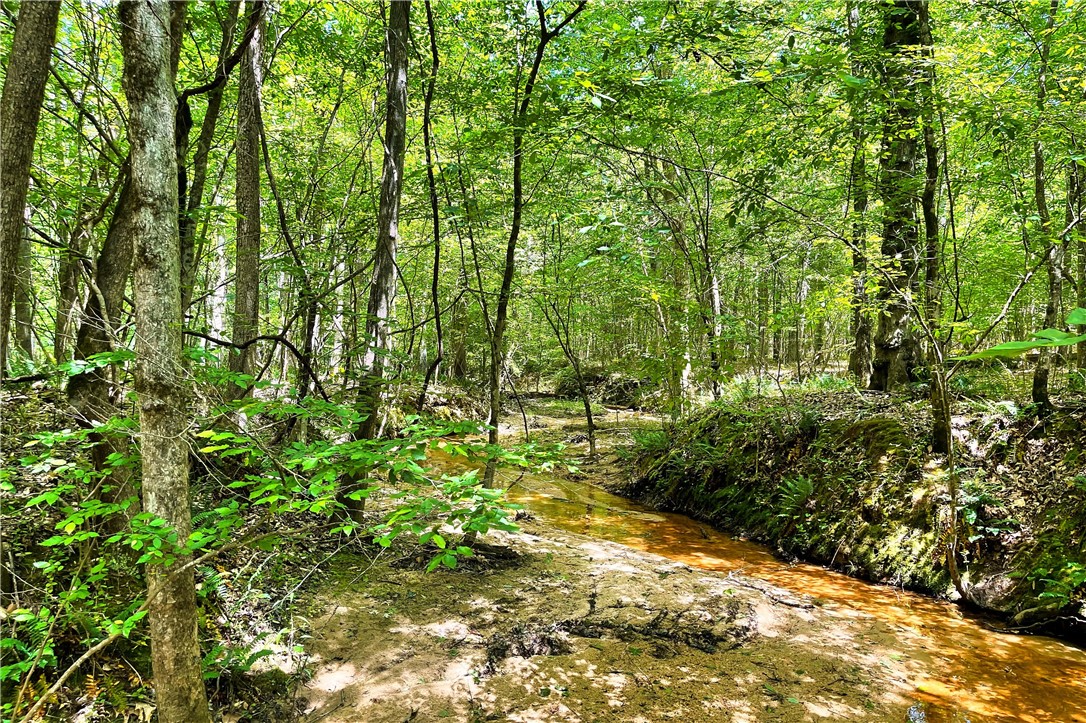 318 Smiths Village Road Waterloo, SC 29384 - Photo 10 of 23