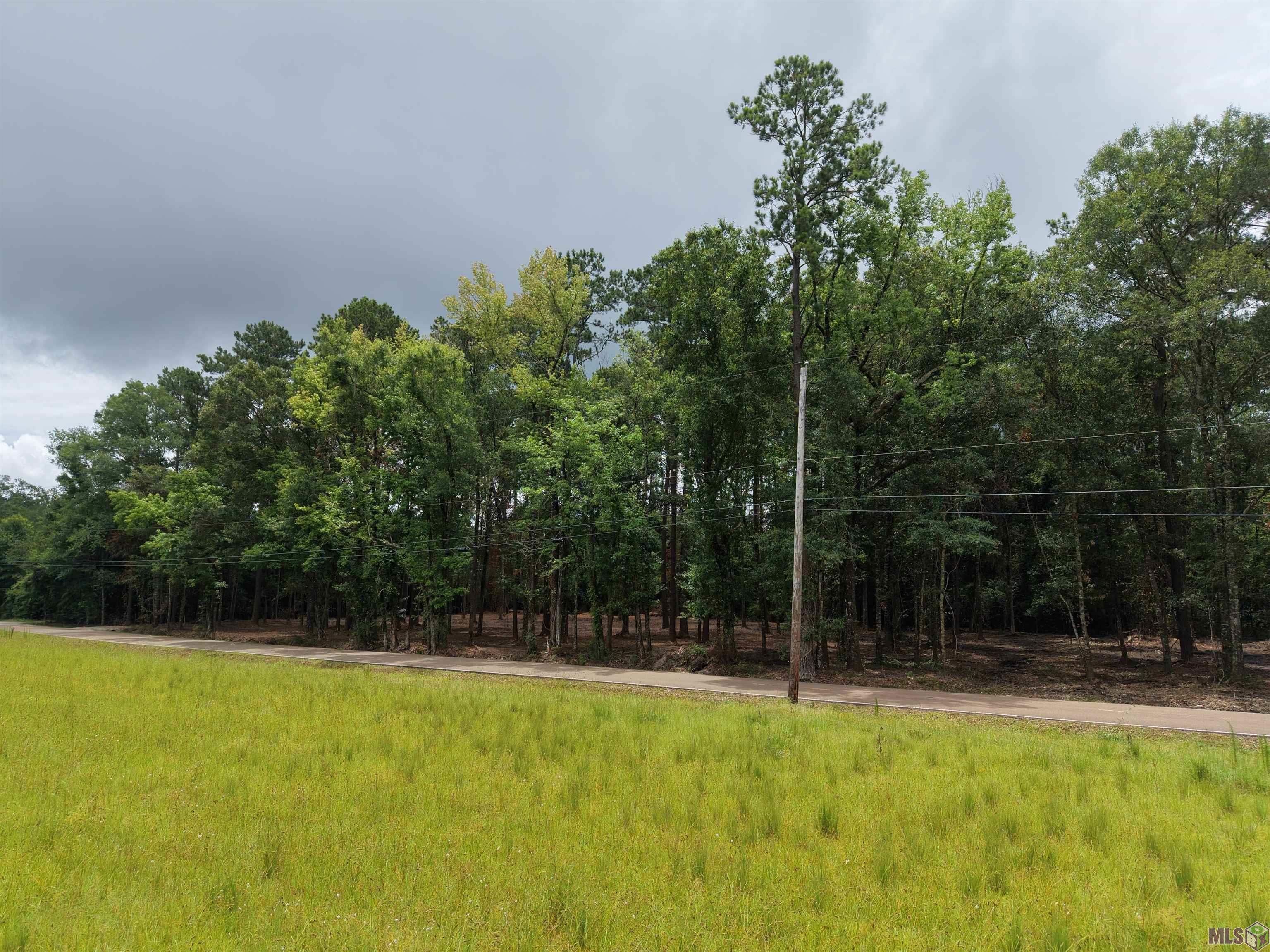 Tract C Esterbrook Road Ponchatoula, LA 70454 - Photo 1 of 13