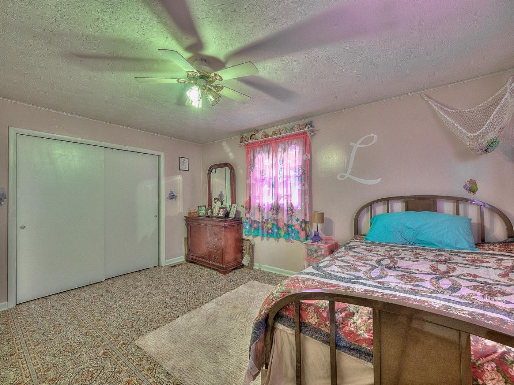 8880 Anglers Way Road Duffield, VA 24244 - Photo 17 of 36 Photo 17