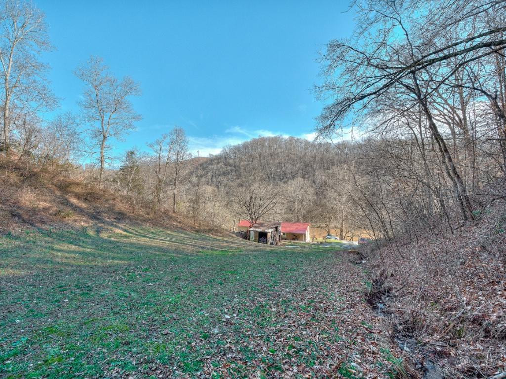 8880 Anglers Way Road Duffield, VA 24244 - Photo 31 of 36 Photo 31
