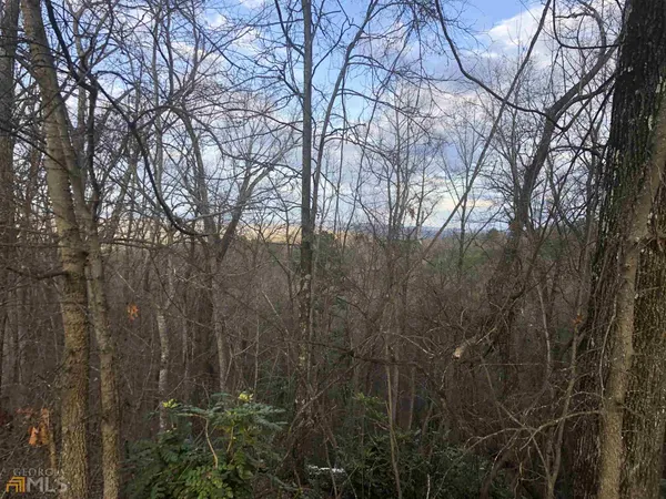 a view of a forest