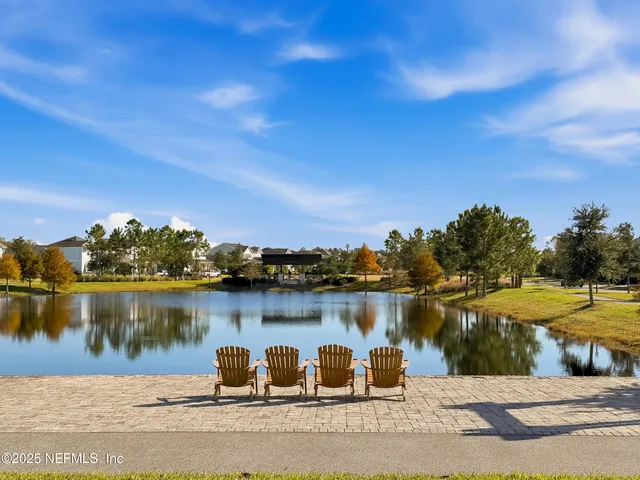 a view of a flower around