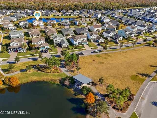 a view of a yard with plants