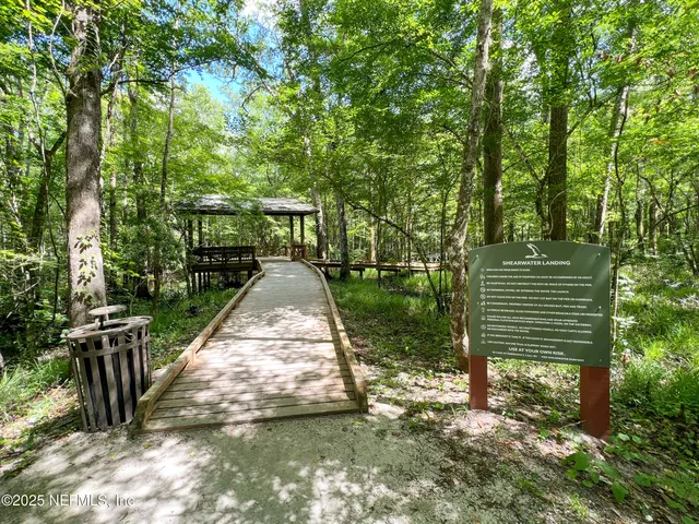 a close up of a tree