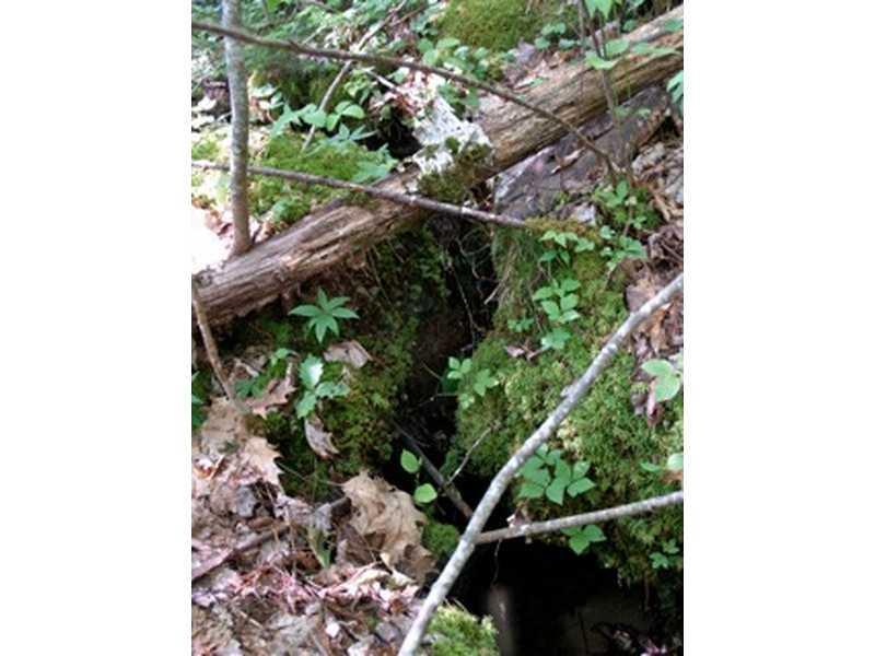 Lot 0 Velvet Road Deblois, ME 04622 - Photo 12 of 23 Land/Lot.