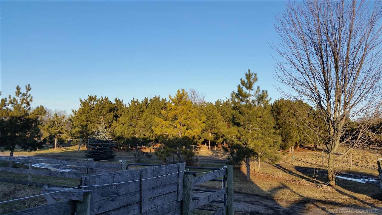 6300 Aitken Road Croswell, MI 48422 - Photo 46 of 53