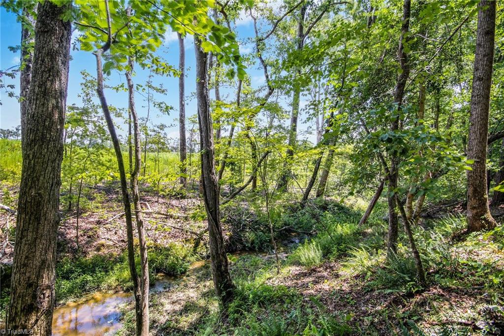 8859 Craig Mill Road Kenbridge, VA 23944 - Photo 30 of 35