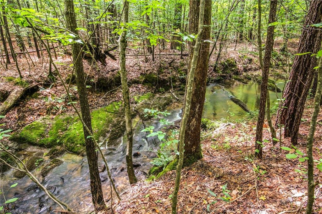 8859 Craig Mill Road Kenbridge, VA 23944 - Photo 33 of 35