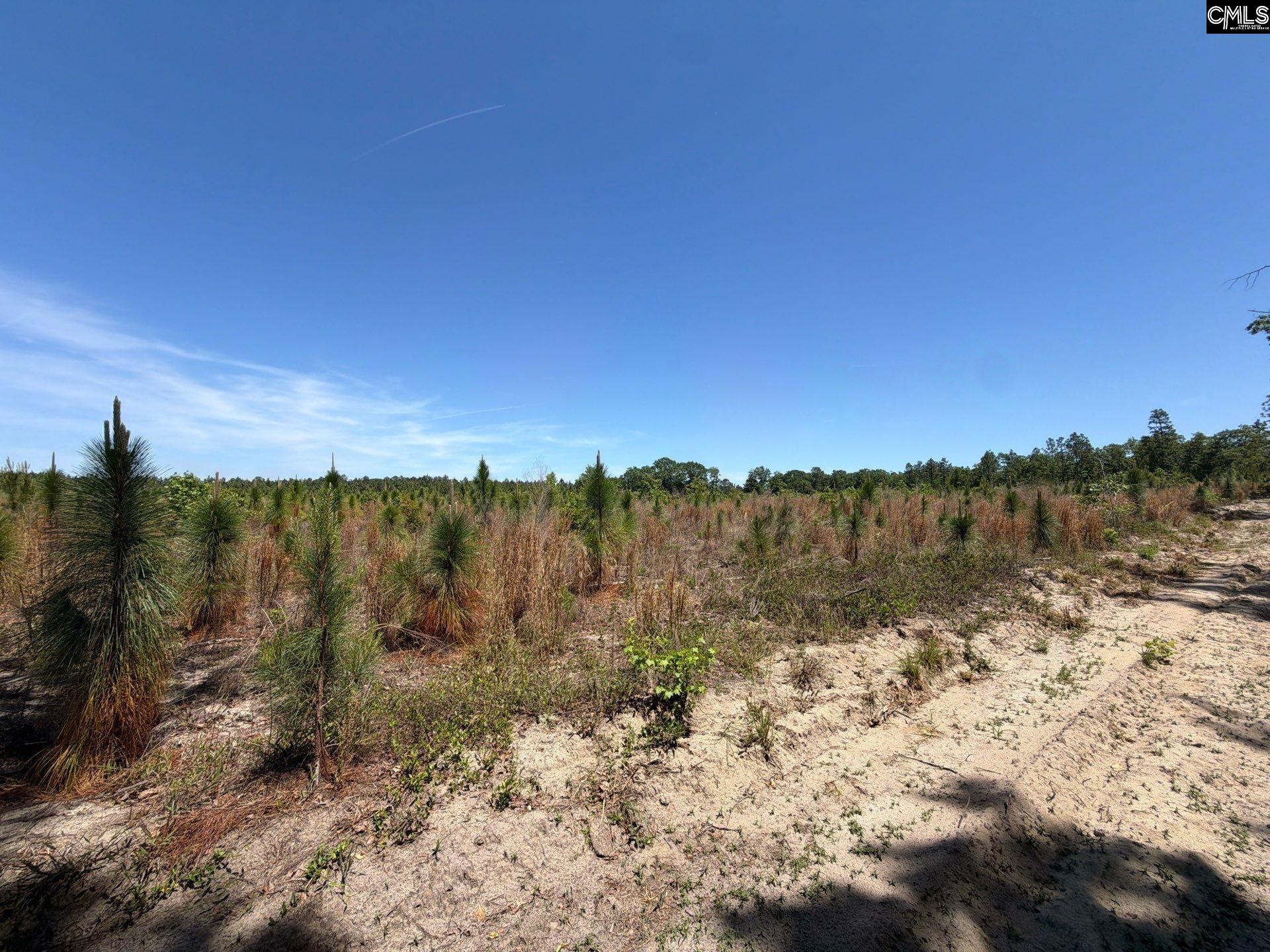 1 Holstein Road Monetta, SC 29105 - Photo 27 of 36
